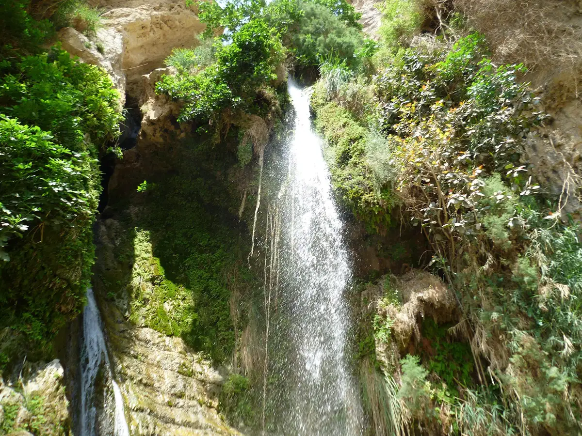 The David waterfall in the Ein Gedi oasis, a stop on some day trips from Jerusalem